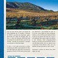 pingo doce vinhos-04.jpg